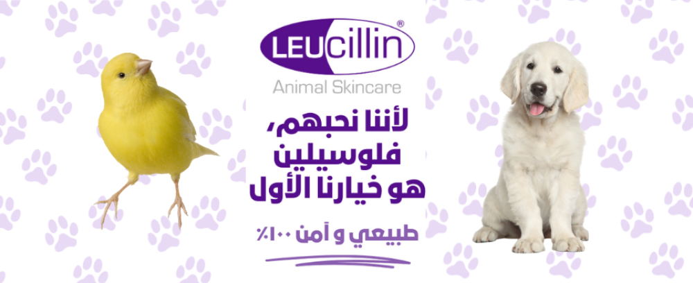 صورة منتج لوسيلين  للعناية بجلد الحيوانات مع عبوة بيضاء وعصفور وكلب