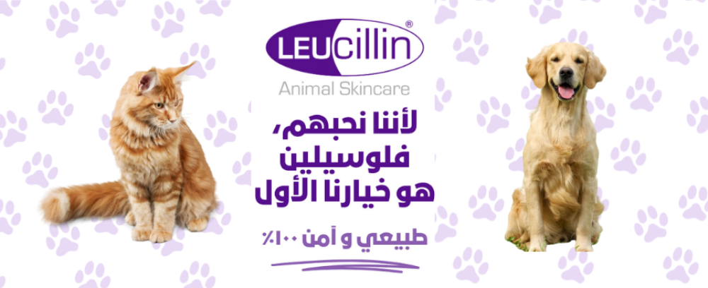صورة منتج لوسيلين  للعناية بجلد الحيوانات مع عبوة بيضاء وقطة وكلب