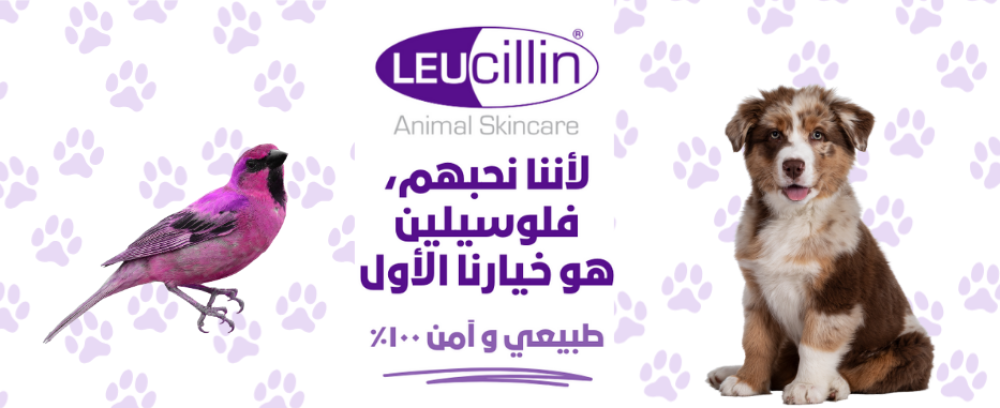 صورة منتج لوسيلين  للعناية بجلد الحيوانات مع عبوة بيضاء وتصميم بنفسجي