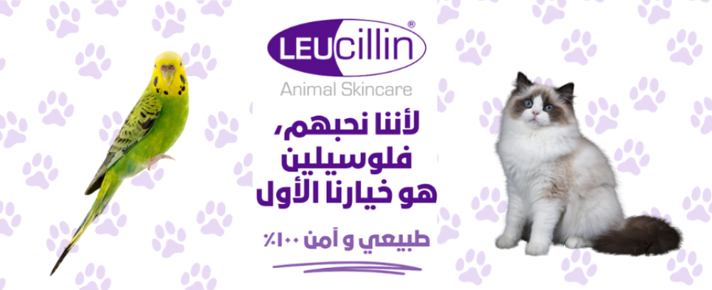 صورة منتج لوسيلين  للعناية بجلد الحيوانات مع عبوة بيضاء وتصميم بنفسجي