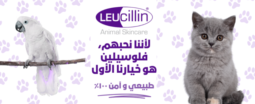 صورة منتج لوسيلين  للعناية بجلد الحيوانات مع قطة وببغاء وتصميم بنفسجي