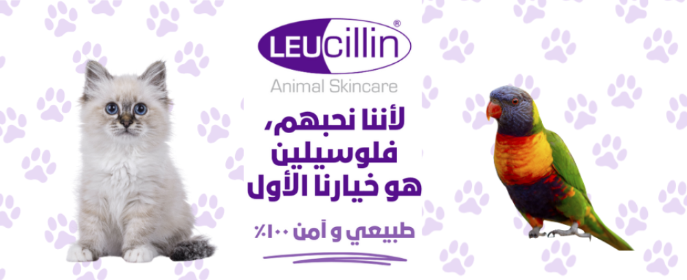 كيفية استخدام Leucillin بعد التطعيم أو الجراحة: دليل آمن وموثوق