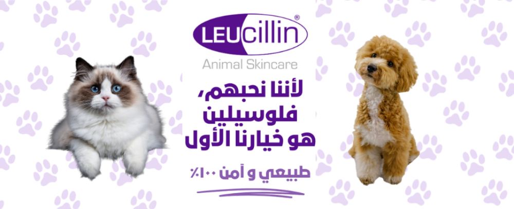 Leucillin: أقوى مطهر طبيعي وآمن لحماية حيوانك من العدوى وتهيج الجلد