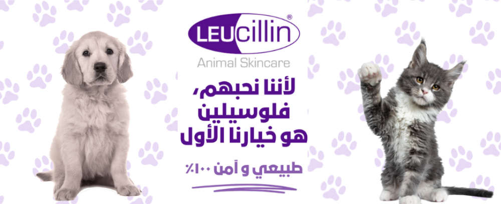 صورة منتج لوسيلين  للعناية بجلد الحيوانات مع قطة وكلب وتصميم بنفسجي