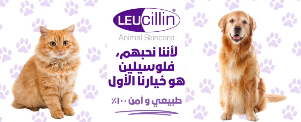 Leucillin مقابل منتجات أخرى في السوق السعودي: مقارنة شاملة