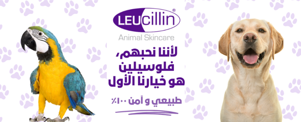 صورة منتج لوسيلين  للعناية بجلد الحيوانات مع عبوة بيضاء وتصميم بنفسجي