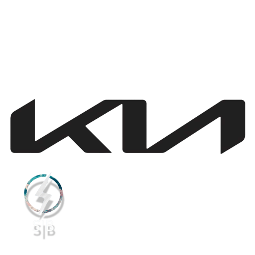 قلم بويه كيا