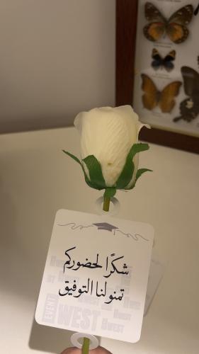 كرت ورد
