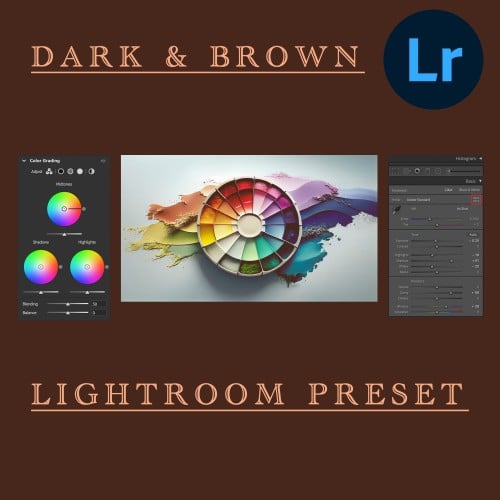 Lightroom Preset - Dark & Brown