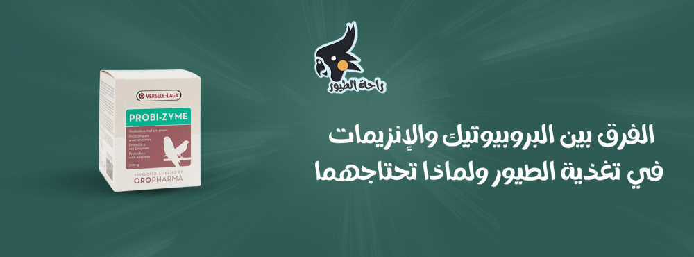 الفرق بين البروبيوتيك والإنزيمات في تغذية الطيور ولماذا تحتاجهما؟