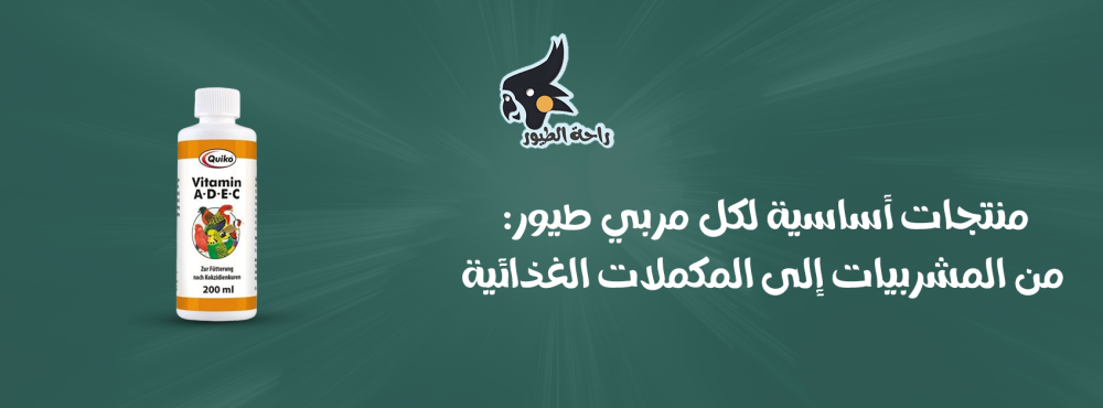 منتجات أساسية لكل مربي طيور: من المشربيات إلى المكملات الغذائية
