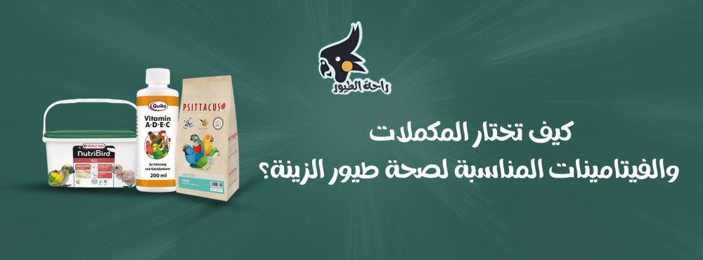كيف تختار المكملات والفيتامينات المناسبة لصحة طيور الزينة؟