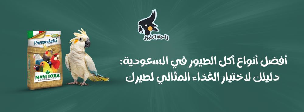 أفضل أنواع أكل الطيور في السعودية: دليلك لاختيار الغذاء المثالي لطيرك