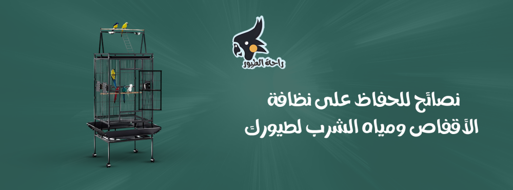 نصائح للحفاظ على نظافة الأقفاص ومياه الشرب لطيورك