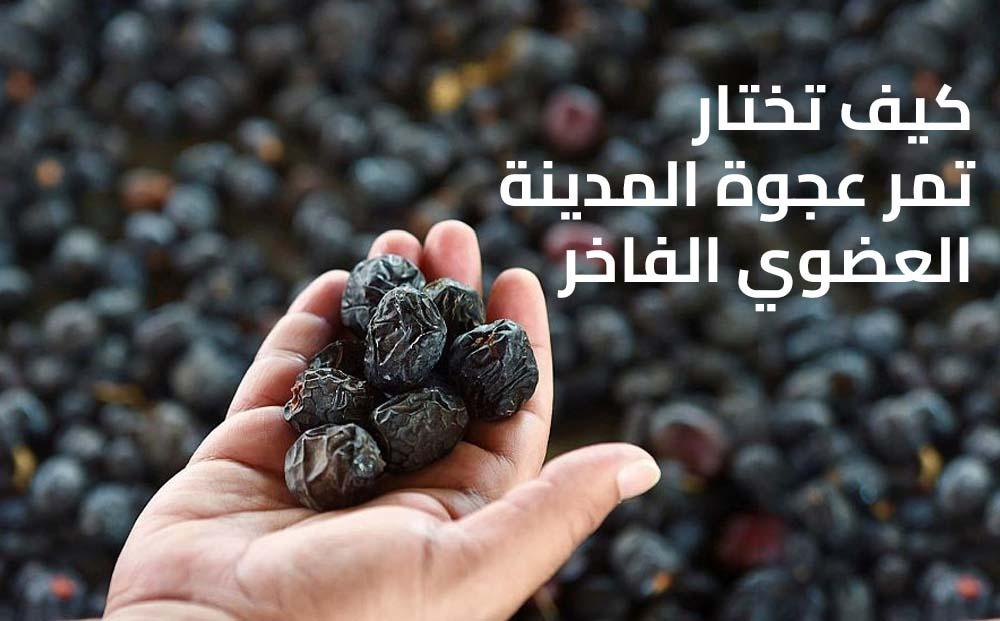 كيف تختار تمر عجوة المدينة العضوي الفاخر: دليل المشتري