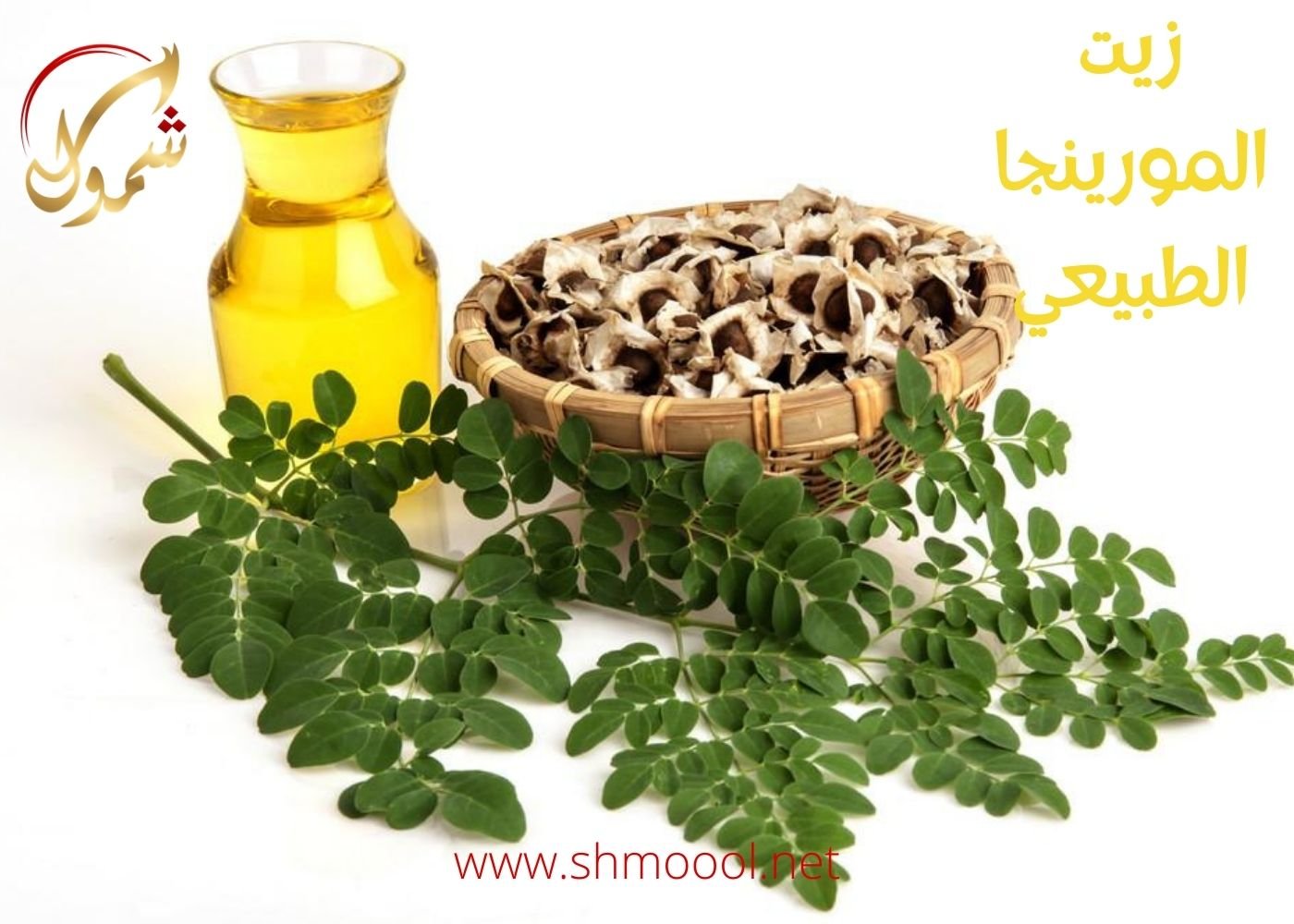 زيت المورينجا في السعودية زيت عضوي مستخلص moringa oil متجر شمول السعودية