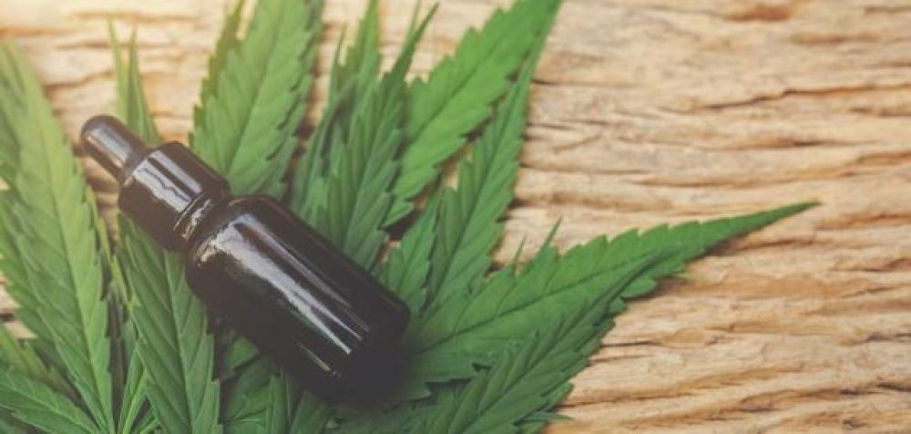 زجاجة شفافة تحتوي على زيت القطران الداكن بجانب غصن من خشب الأرز لتوضيح