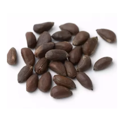 بذور القطن 50 جم