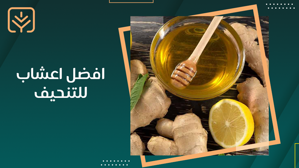 افضل اعشاب للتنحيف