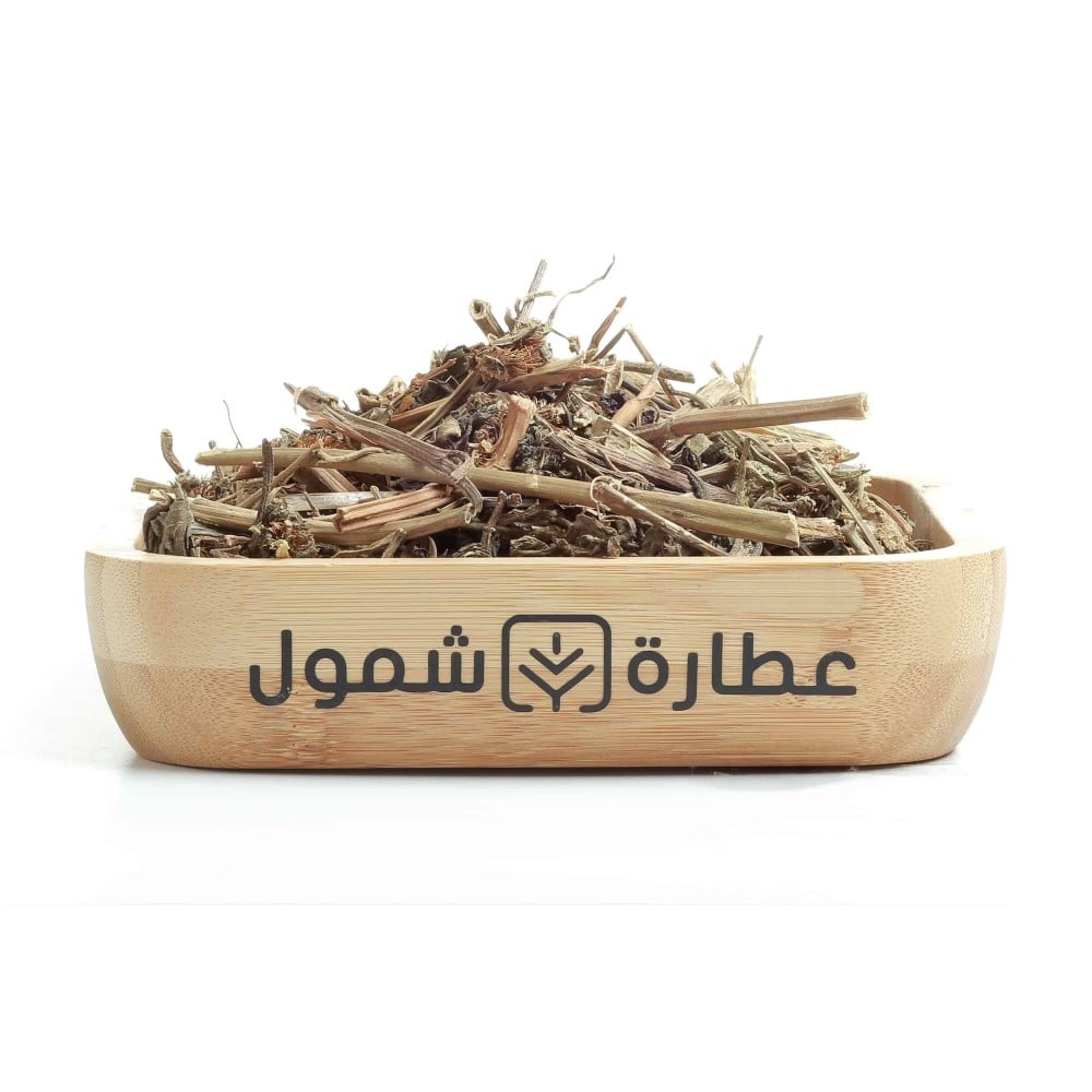 عشبة الارقطيون