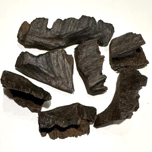 زوايا تراد محسن