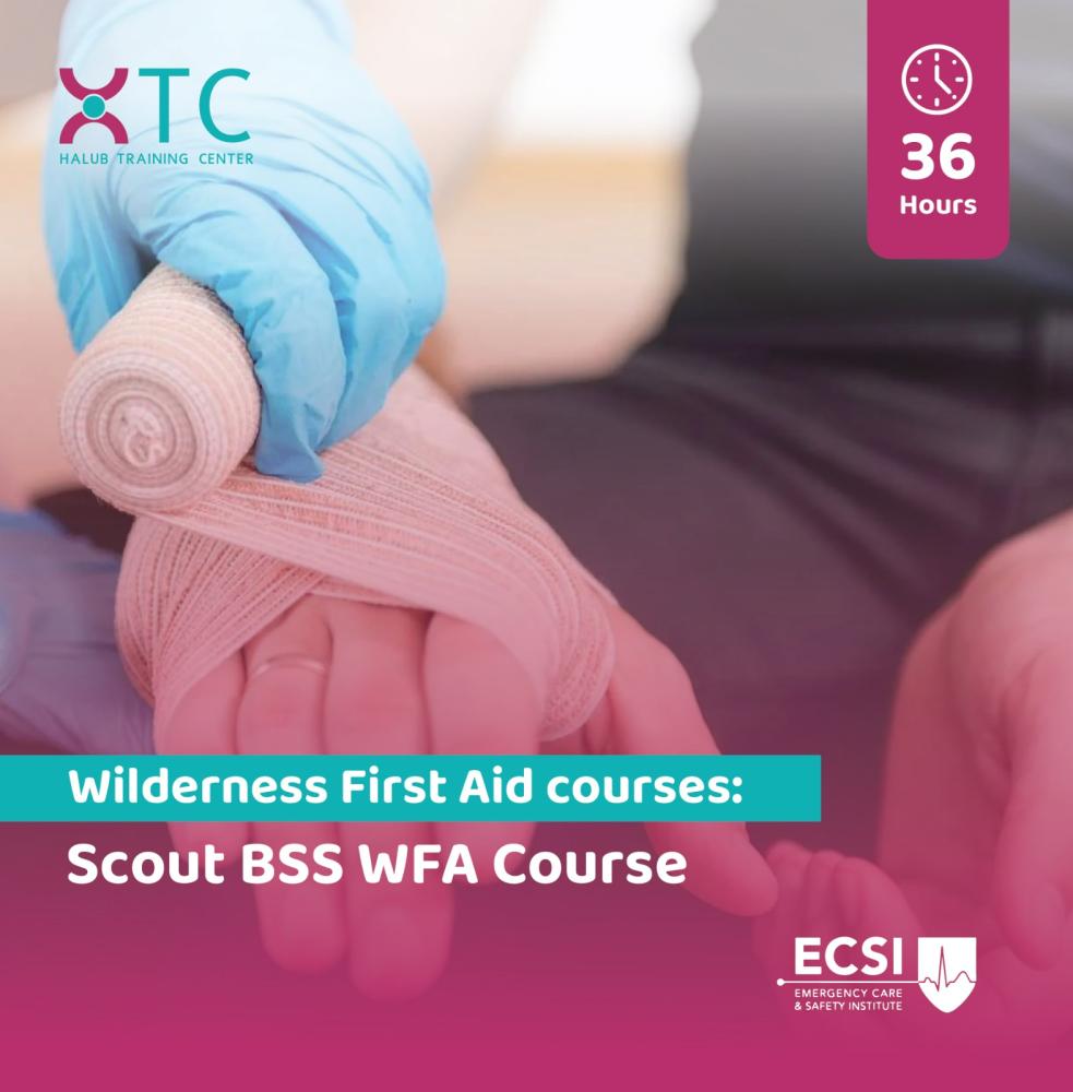 wilderness First Aid Scout BSS WFA Course