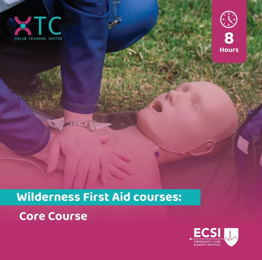 wilderness First Aid Core course