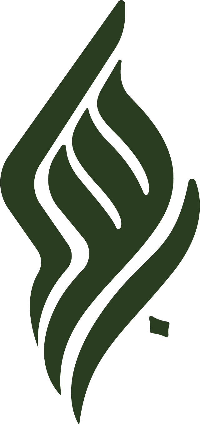 store avatar