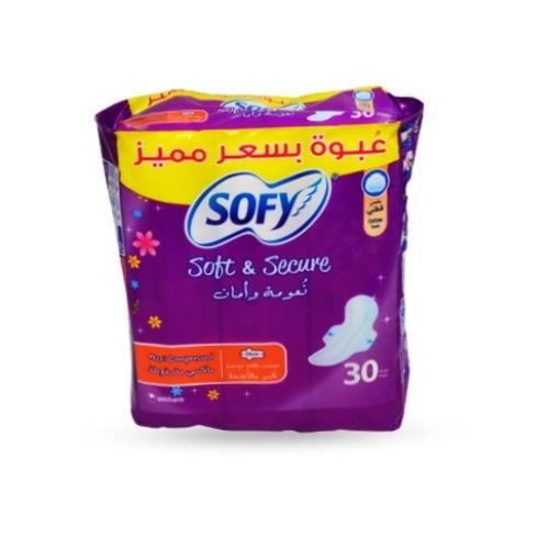 سوفي كبير بالأجنحة 30 فوطة