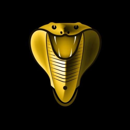 اشتراك كوبرا لمدة 15 شهر