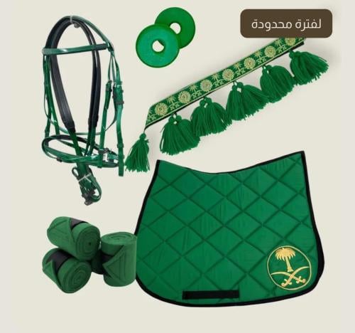 عرض اليوم الوطني5