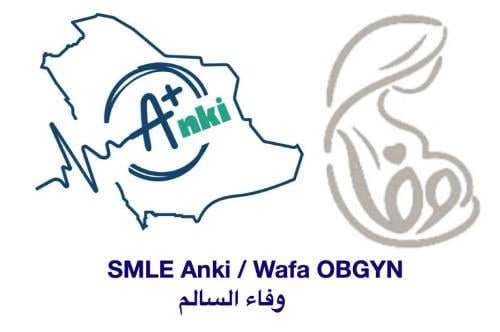 SMLEAnki / Wafa OBGYN 2024