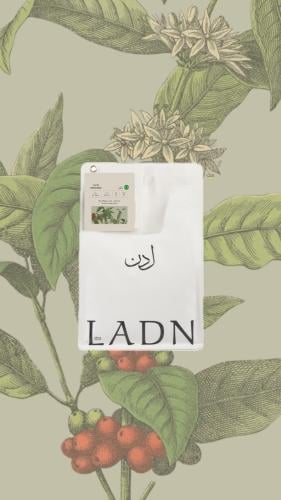 برازيلي - موجينا