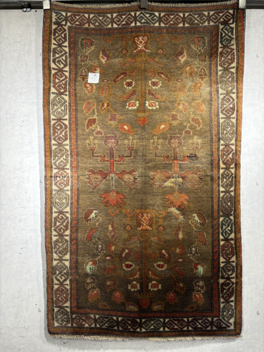 Baluchi FF164