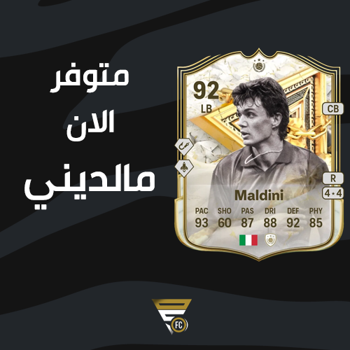مهام مالديني