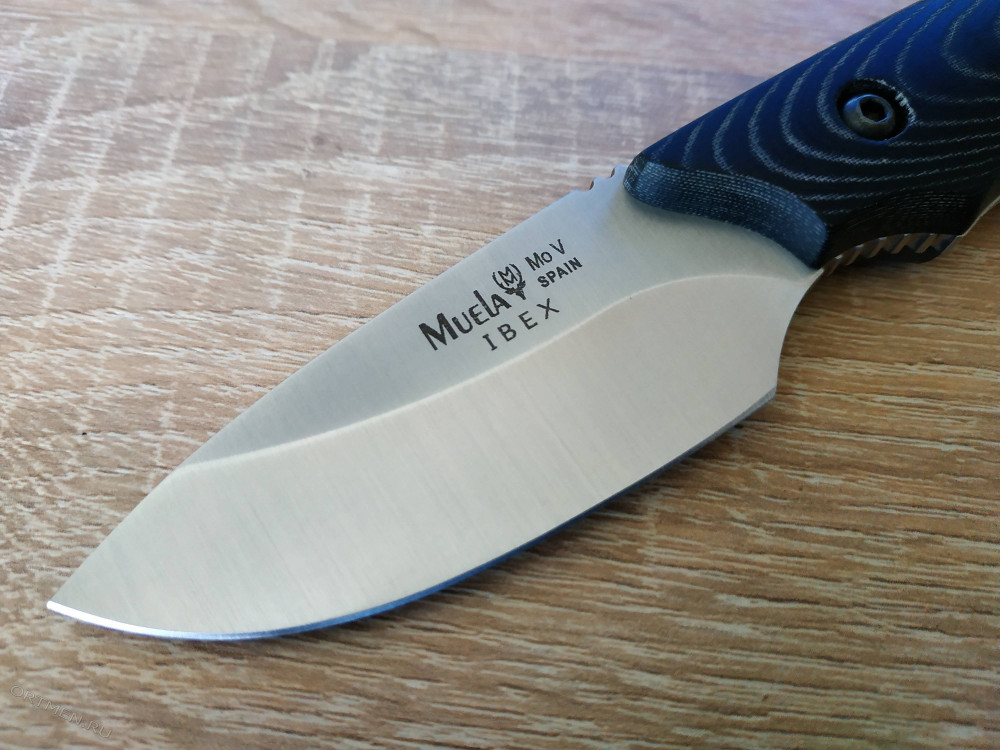 سكين نصل ثابت IBEX-8M من شركة مويلا الاسبانية ( Muela) .
