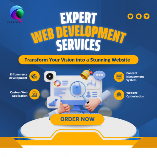 Expert Web Development Servce (5 Pages only + 1 Fo...