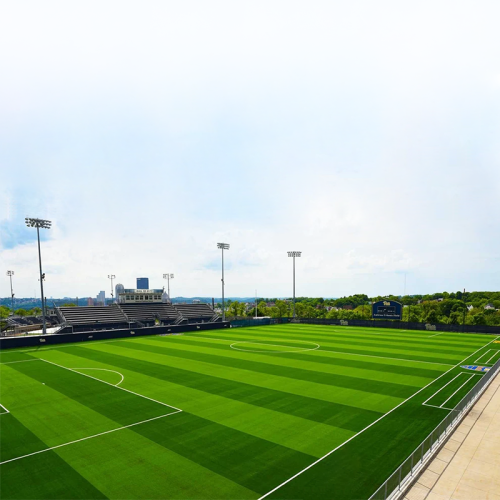 ملعب عشب Grass Court