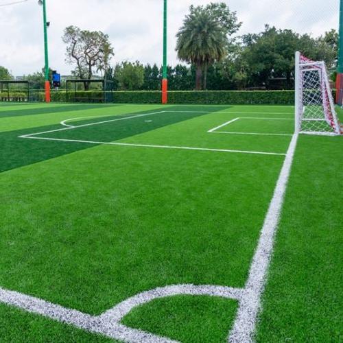 ملعب عشب Grass Court