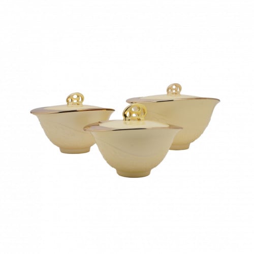 حافظة طعام غولدن فاير طقم 3 711/G-MG-G-MG