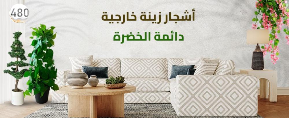 أشجار زينة خارجية دائمة الخضرة