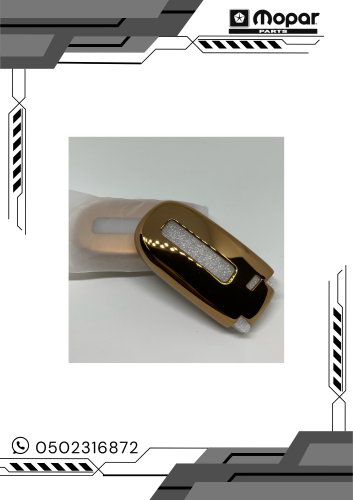 جراب مفتاح بشكل مميز " ذهبي"