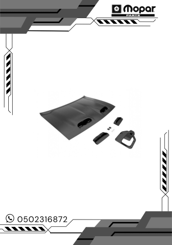 كبوت تشالنجر رد اي