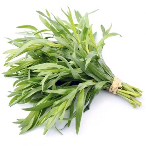 حبق (مزارع محلية)