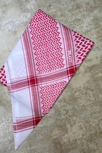 شماغ    PLOT special