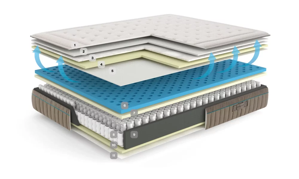 مرتبة اسينزيا  إكس ڤيجن