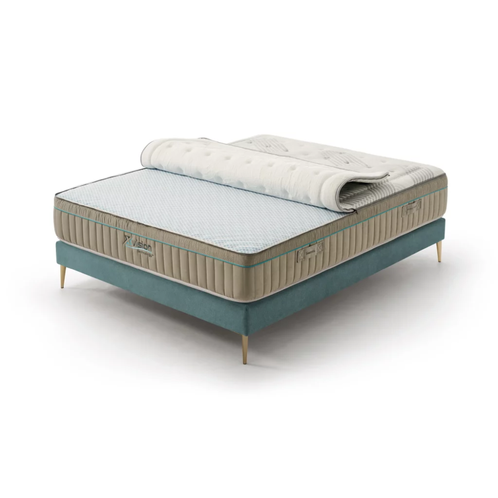 مرتبة اسينزيا  إكس ڤيجن