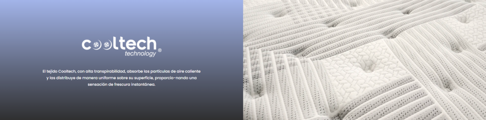 مرتبة اسينزيا  إكس ڤيجن