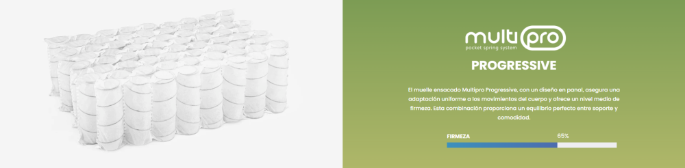 مرتبة اسينزيا  إكس ڤيجن