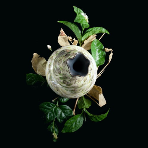 رَوْح  / ROUH  مزهرية